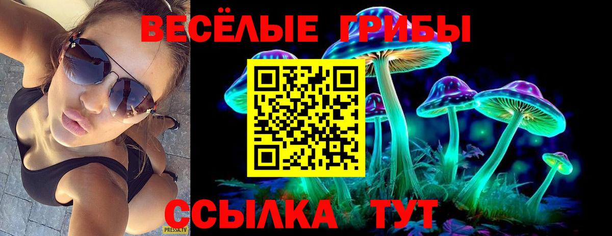 Псилоцибиновые грибы Magic Shrooms Сухой Лог